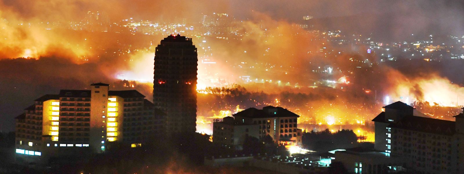 No Sri Lankans Affected by South Korea Forest Fire